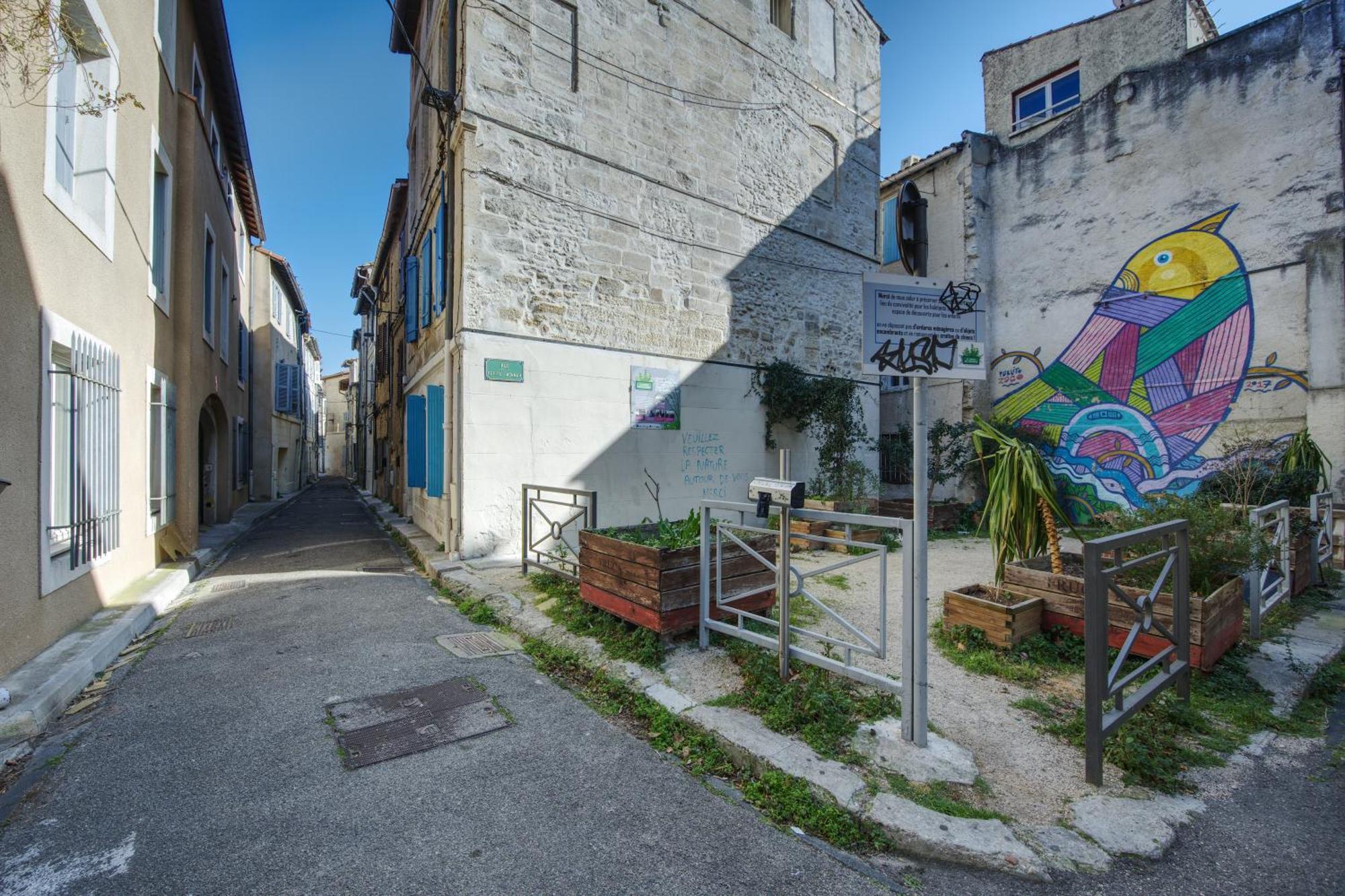 Appartement Cosy Avignon Centre-Ville المظهر الخارجي الصورة